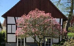 Gemuetliches Ferienhaus Im Extertal/ Lippe