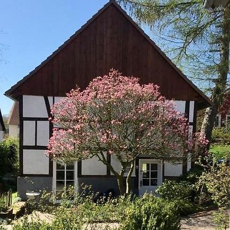 Gemuetliches Ferienhaus Im Extertal/ Lippe Buitenkant foto