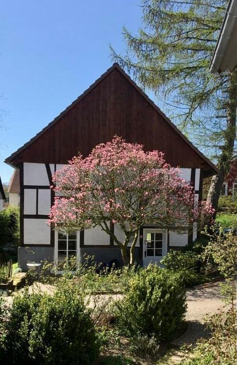 Gemuetliches Ferienhaus Im Extertal/ Lippe Buitenkant foto