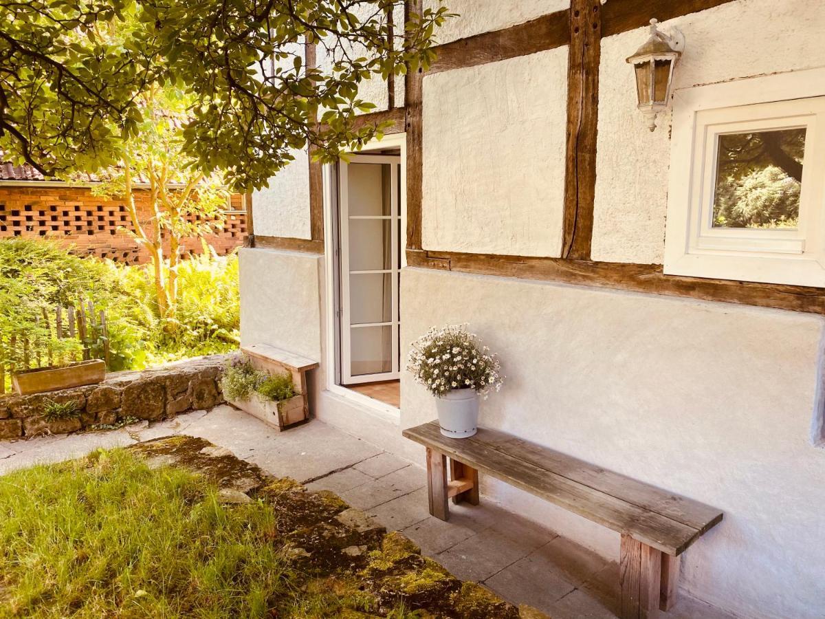 Gemuetliches Ferienhaus Im Extertal/ Lippe Buitenkant foto